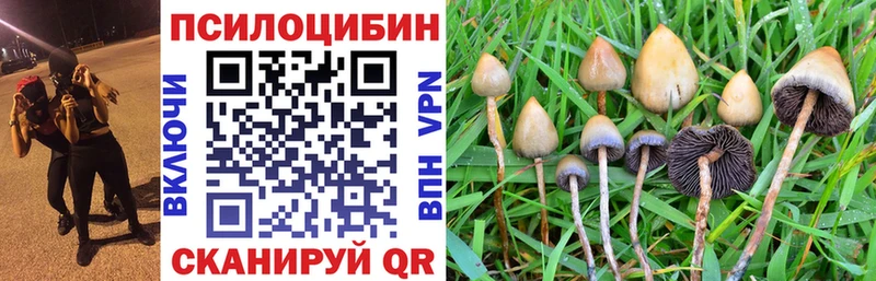 Псилоцибиновые грибы MAGIC MUSHROOMS  Купить где  Уяр 