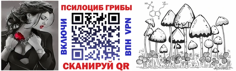 Псилоцибиновые грибы мицелий Уяр